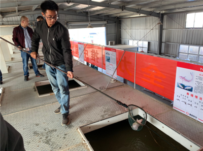 【新時代 新作為 新篇章】搭建新平臺研發(fā)新技術 農業(yè)創(chuàng)新為鄉(xiāng)村振興注入活力