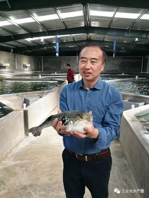 想要魚養(yǎng)得好,原來選個燈都那么重要