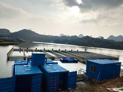 水產養殖知識之斜管蟲病介紹
