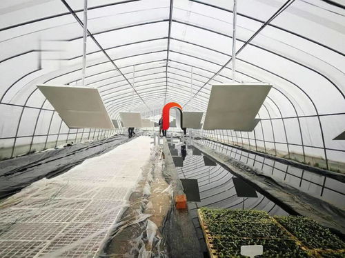 碳納米采暖這么好的技術(shù) 北半球一定要讓更多農(nóng)民兄弟用上