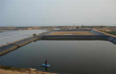 新聞 沙河水產養殖防滲膜 股份 歡迎您