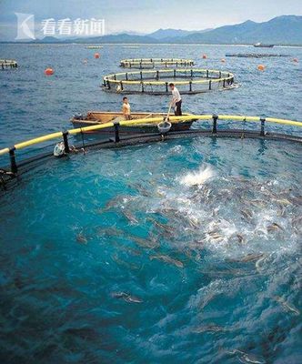 上海研發(fā)深遠海養(yǎng)殖工船 未來可培育品質(zhì)接近野生的海魚