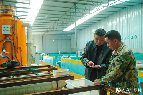 四川營山 專家助力水產養殖增收