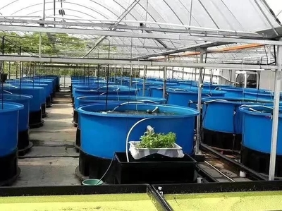 農(nóng)業(yè)農(nóng)村部:&ldquo;五大行動&rdquo;推進(jìn)水產(chǎn)養(yǎng)殖業(yè)綠色發(fā)展