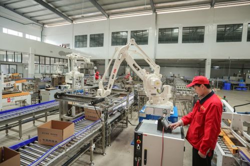 訂單足,市場(chǎng)旺 美寧食品罐頭智能化加工車間忙