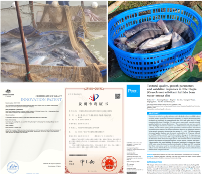 中國水產科學研究院珠江所養殖室團隊研發成果助推脆肉羅非魚產業發展