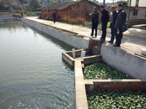 寧夏水產(chǎn)技術推廣站一行到四川成都龍泉參觀學循環(huán)水養(yǎng)殖模式