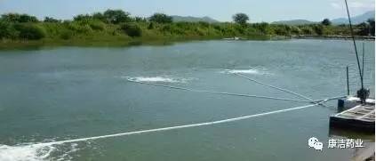 水產養殖水底溶氧作用與底層增氧技術研究