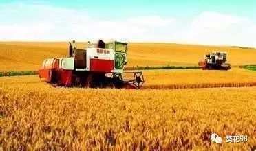 今年農(nóng)業(yè)整體呈現(xiàn)'四漲一降'態(tài)勢，水產(chǎn)養(yǎng)殖表現(xiàn)突出